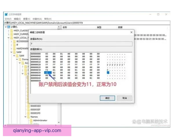 2026世界杯比赛城市全景探索：深入了解全球12座城市的文化与魅力